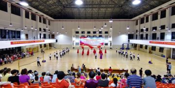 田園社區項目社會組織文藝匯演暨村社會組織服務中心授旗儀式圓滿落幕